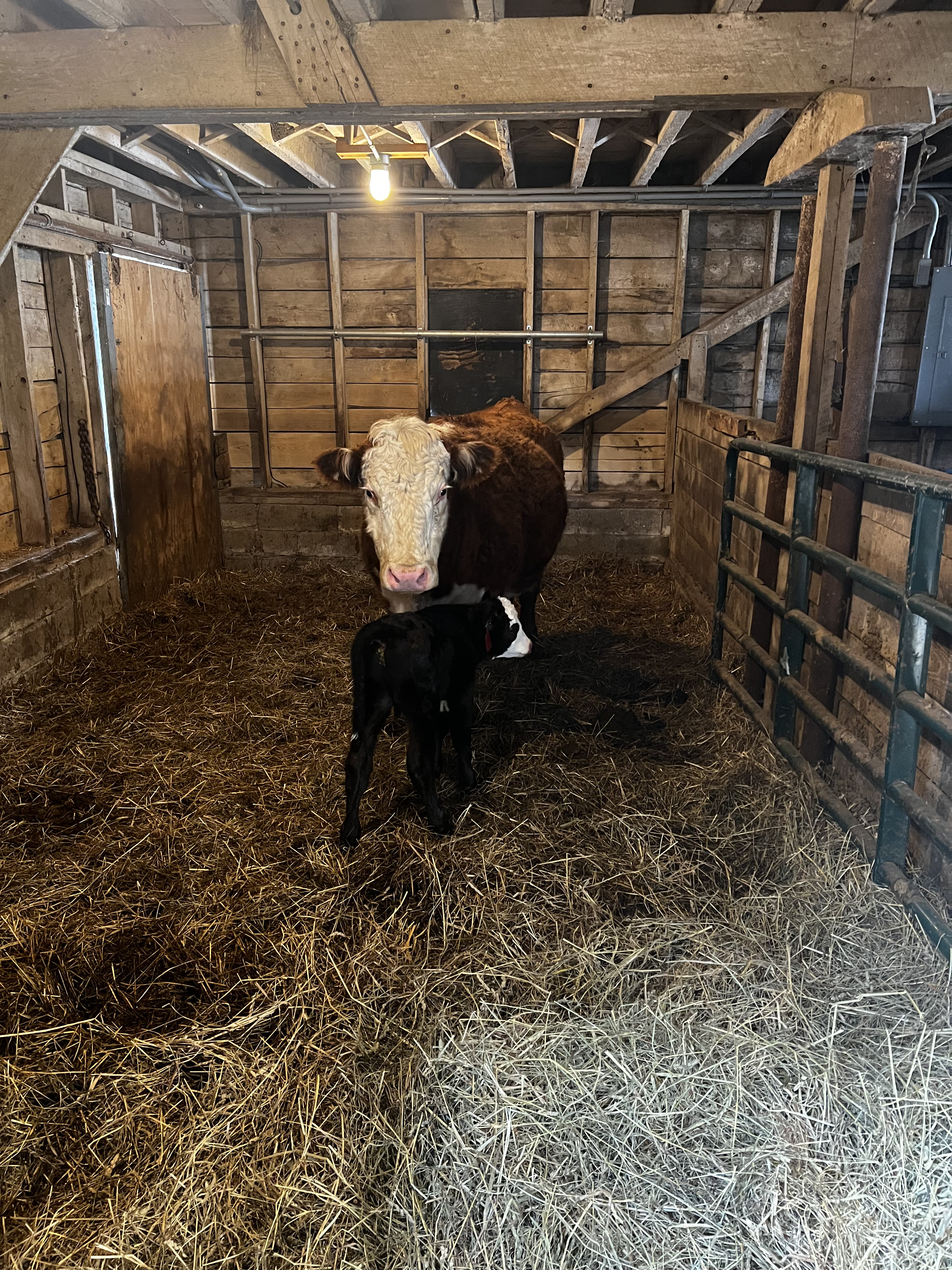 Ranch photo