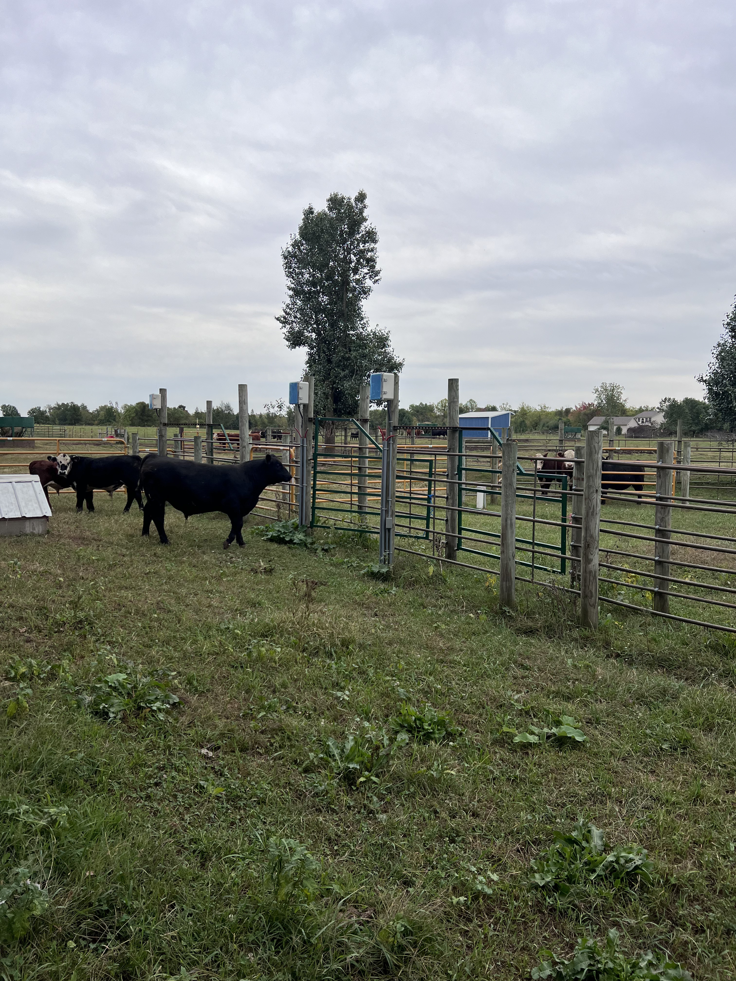 Ranch photo