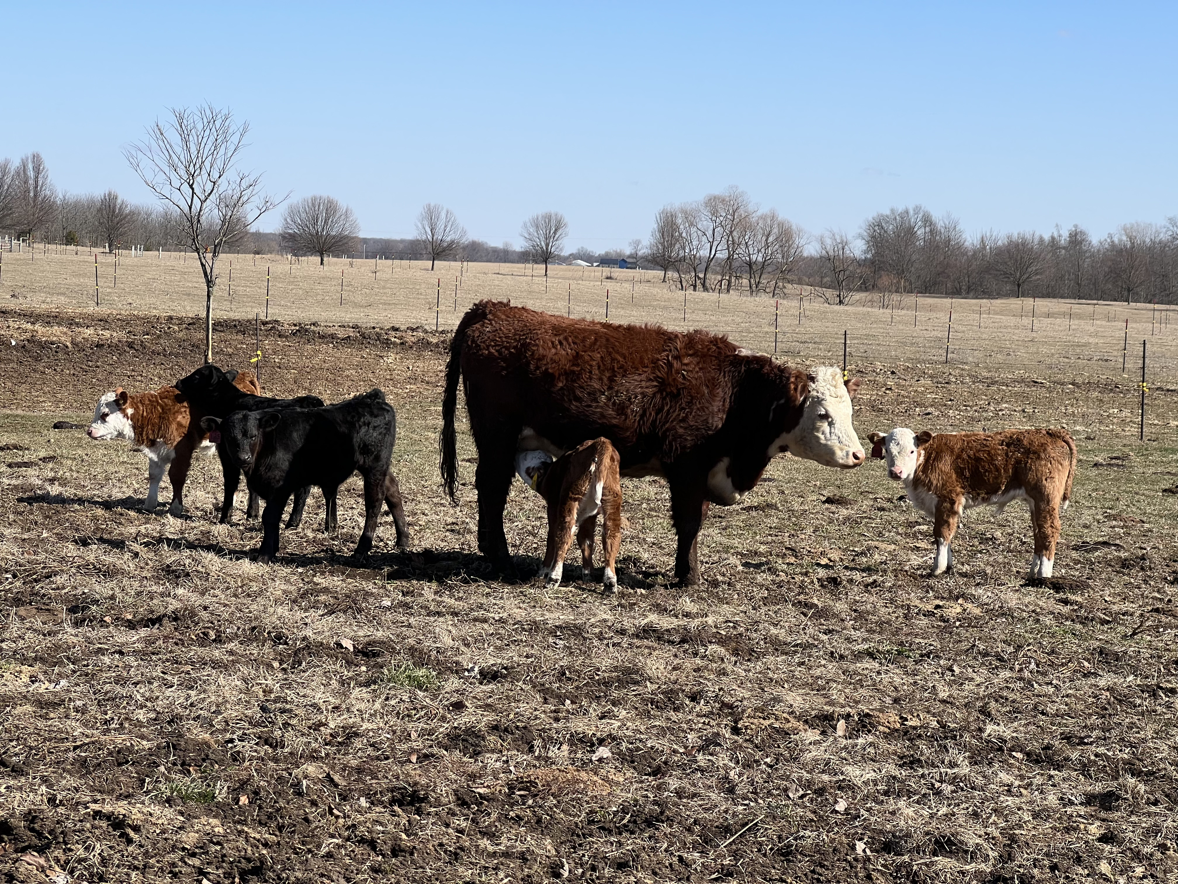 Ranch photo