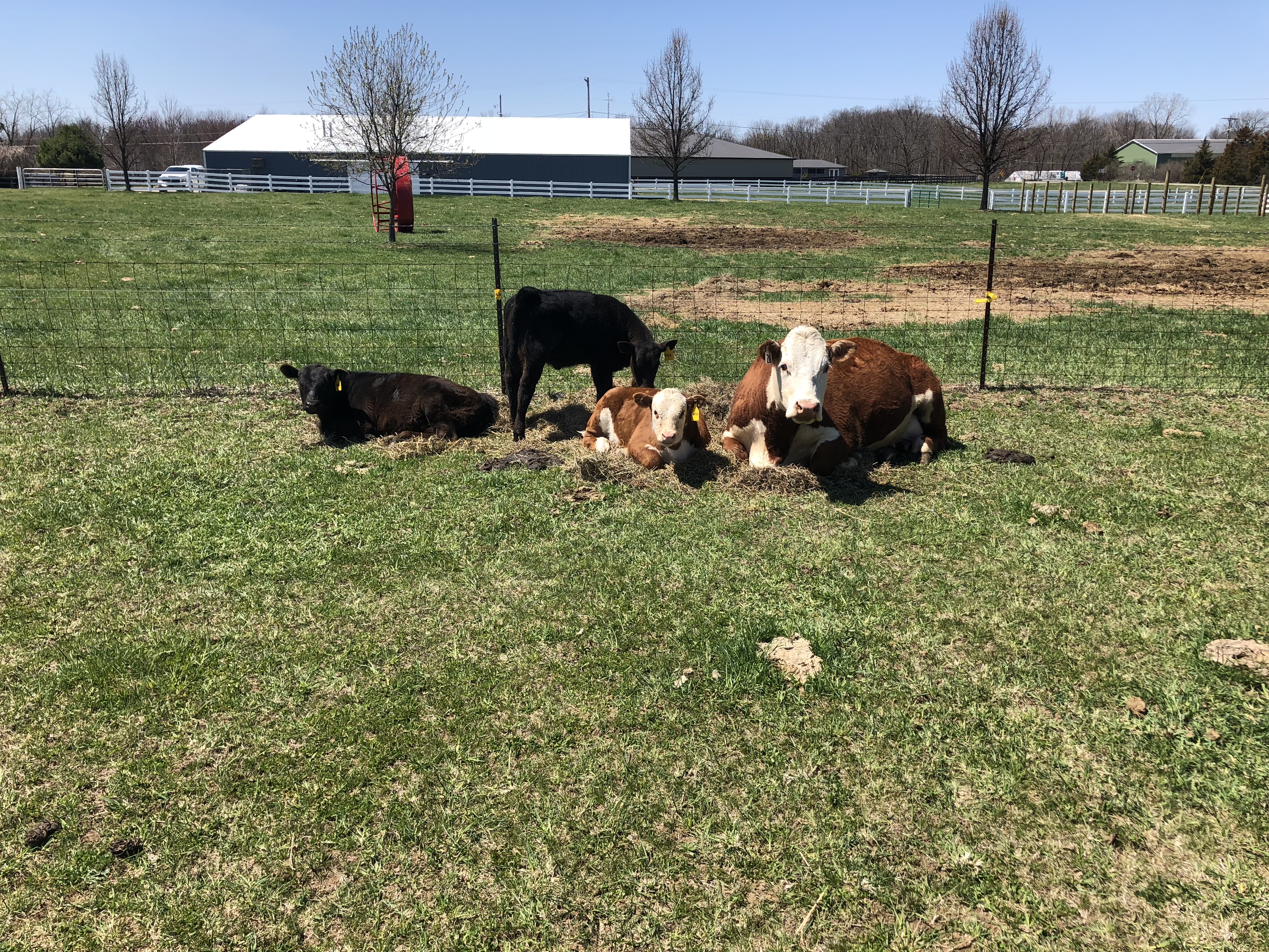 Ranch photo