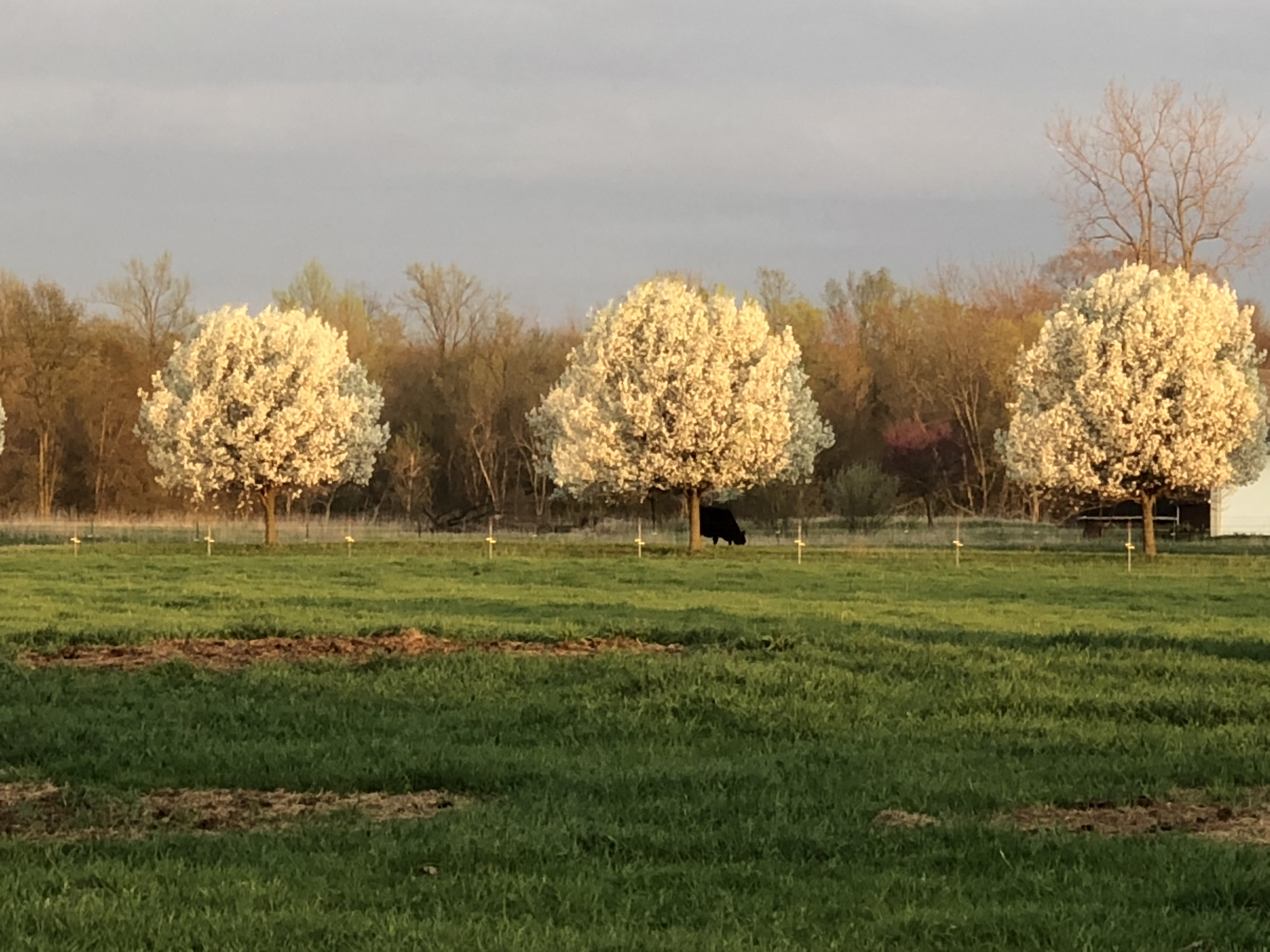 Ranch photo