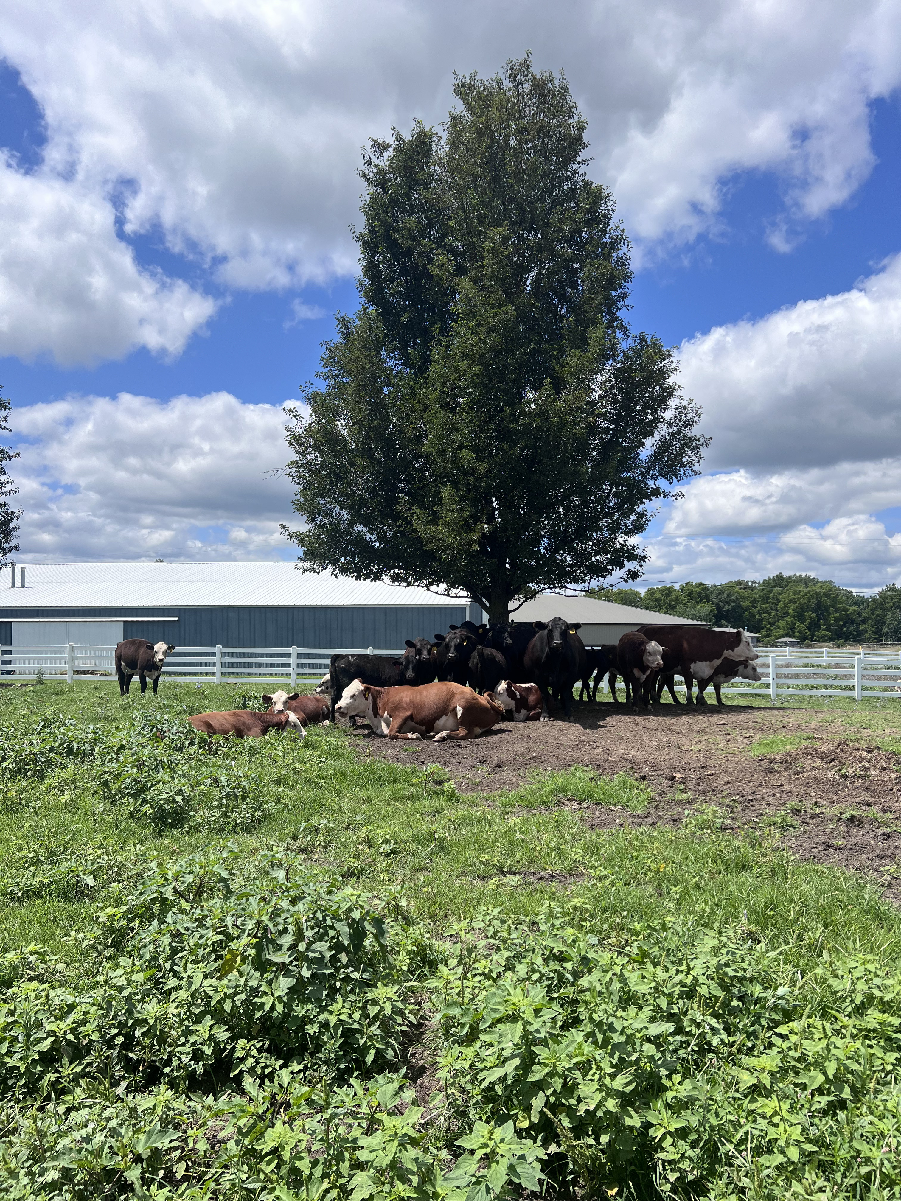 Ranch photo